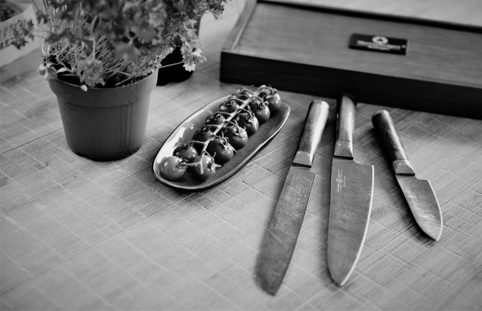 Meilleure idée cadeau couteau : Guide d'achat 2025