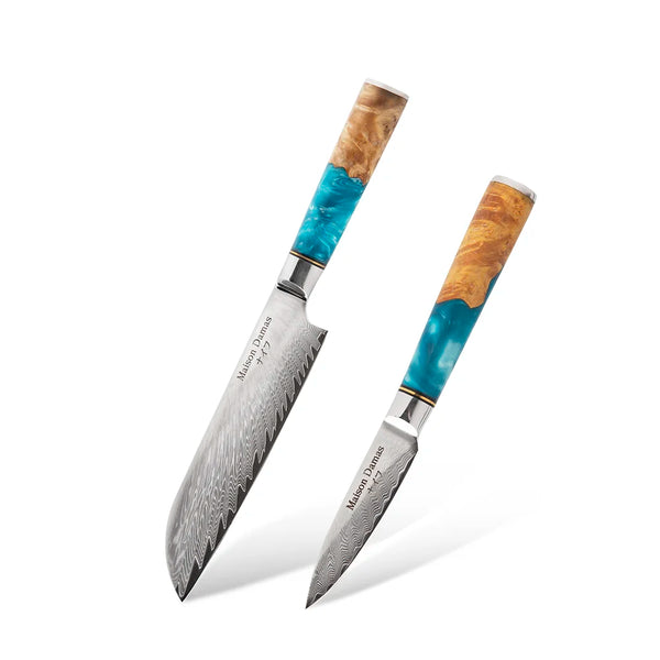 Lot De 2 Couteaux Japonais Sekiryu : Sashimi Et Deba - Acier Inoxydable - Neufs