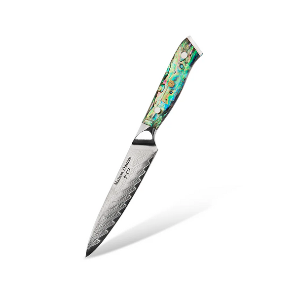 oFuun Couteau Cuisine Damas, 19,3cm Couteau Japonais en 67 Couche Acier  Damas, Couteaux de Chef Professionnel avec Poignée G10 : : Cuisine  et Maison