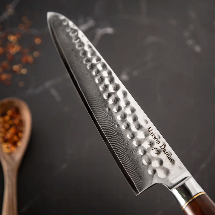 Sakoma 25cm Chef's knife - Maison Damas