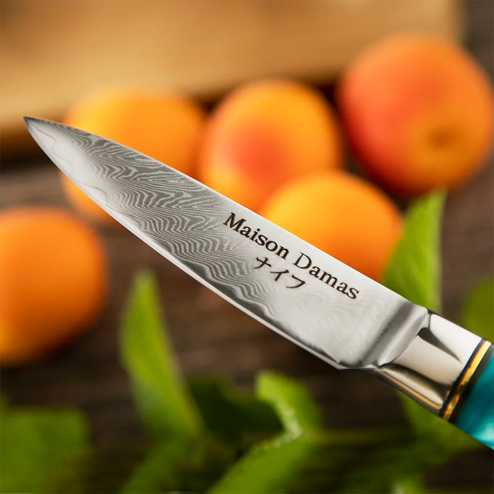 Niigata paring knife - Maison Damas